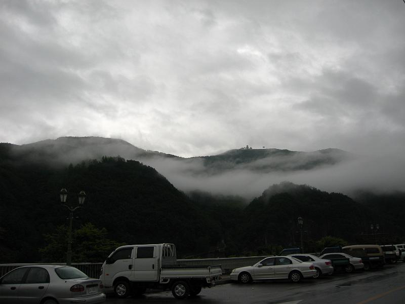 IMG_8950.jpg