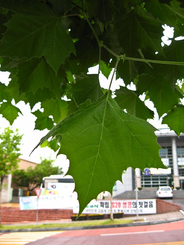 IMG_8960.jpg