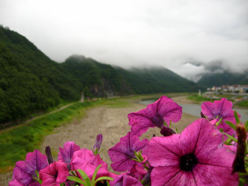 IMG_8964.jpg