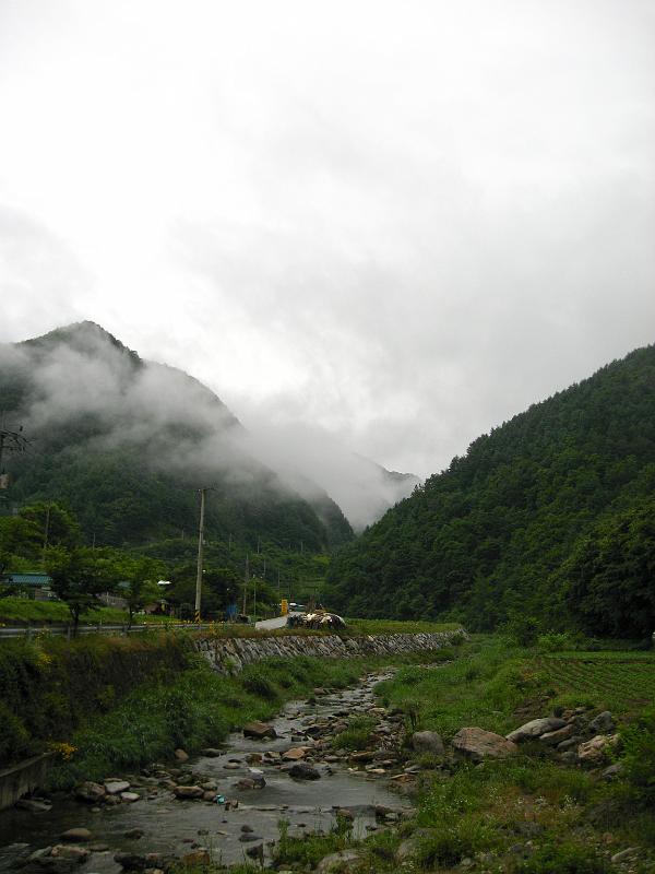 IMG_8967.jpg