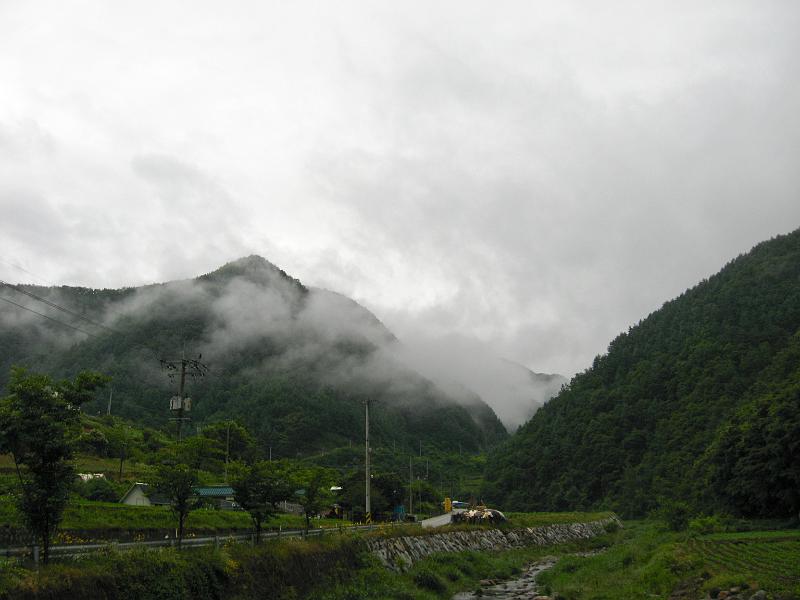 IMG_8968.jpg