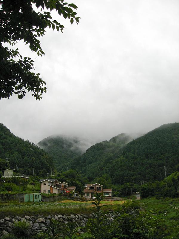 IMG_8969.jpg