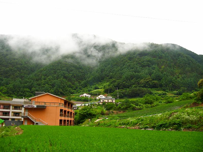 IMG_8975.jpg
