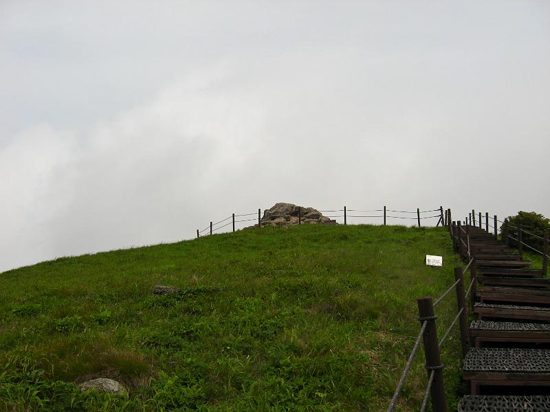 IMG_9062.jpg