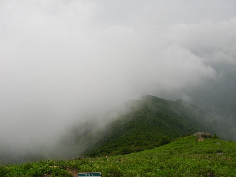 IMG_9069.jpg