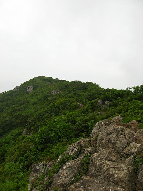 IMG_9083.jpg