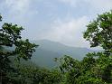 IMG_9137