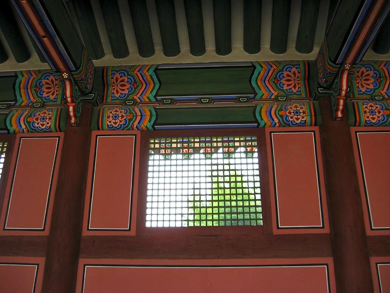 IMG_6313.jpg