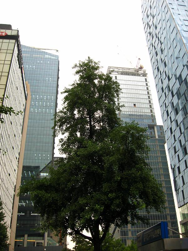 IMG_9633.jpg