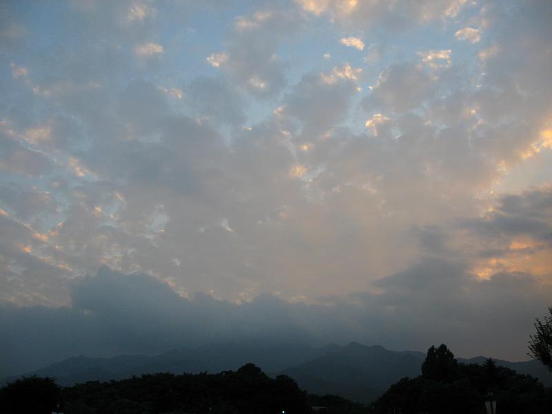 IMG_9805.jpg
