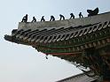 IMG_6192