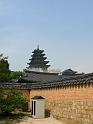 IMG_6218