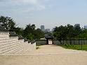 IMG_6239