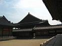 IMG_6295