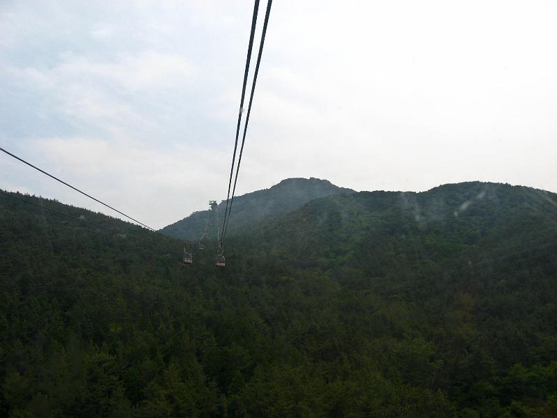 IMG_8593.jpg