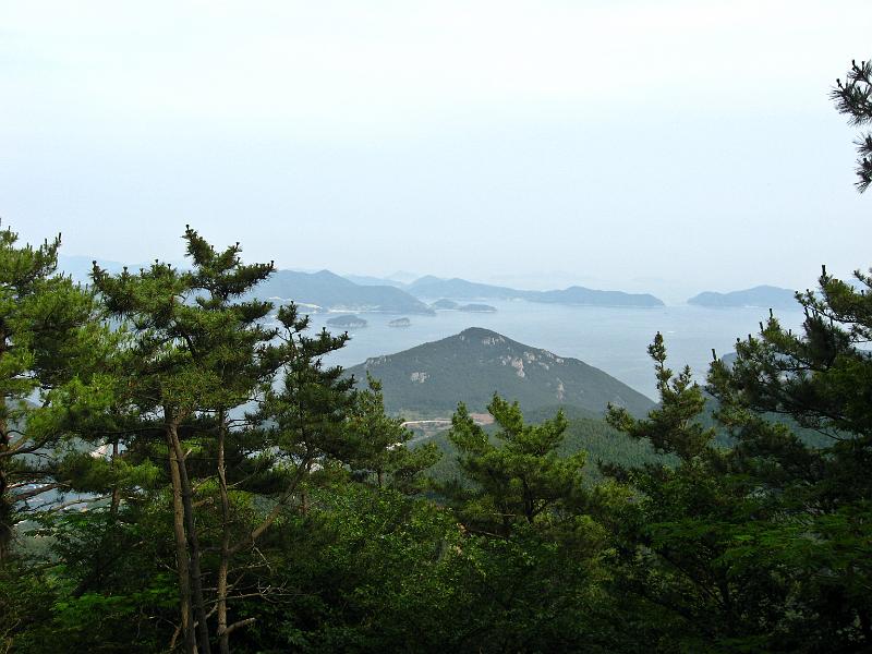 IMG_8650.jpg