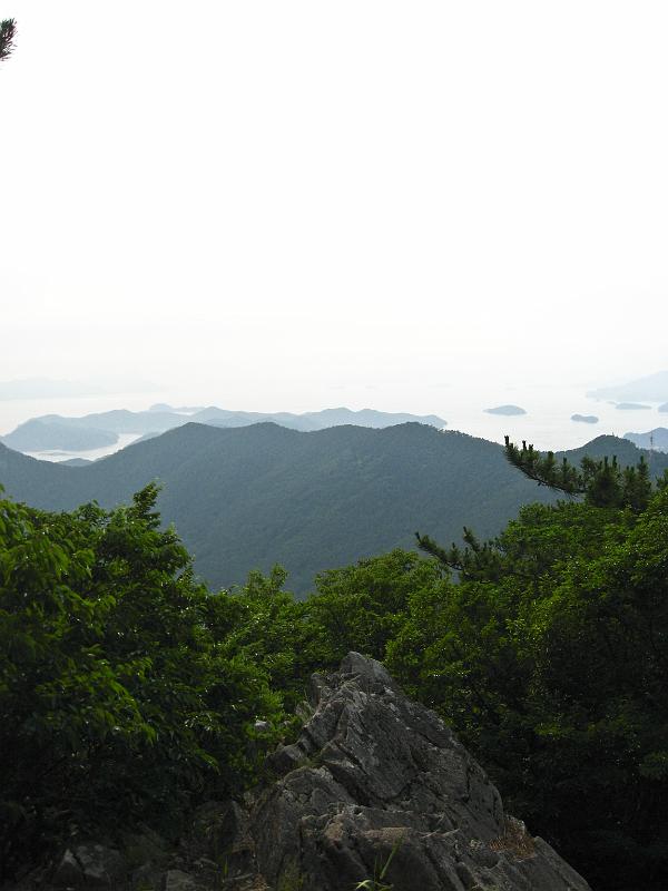 IMG_8655.jpg