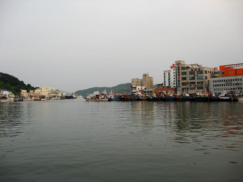 IMG_8685.jpg