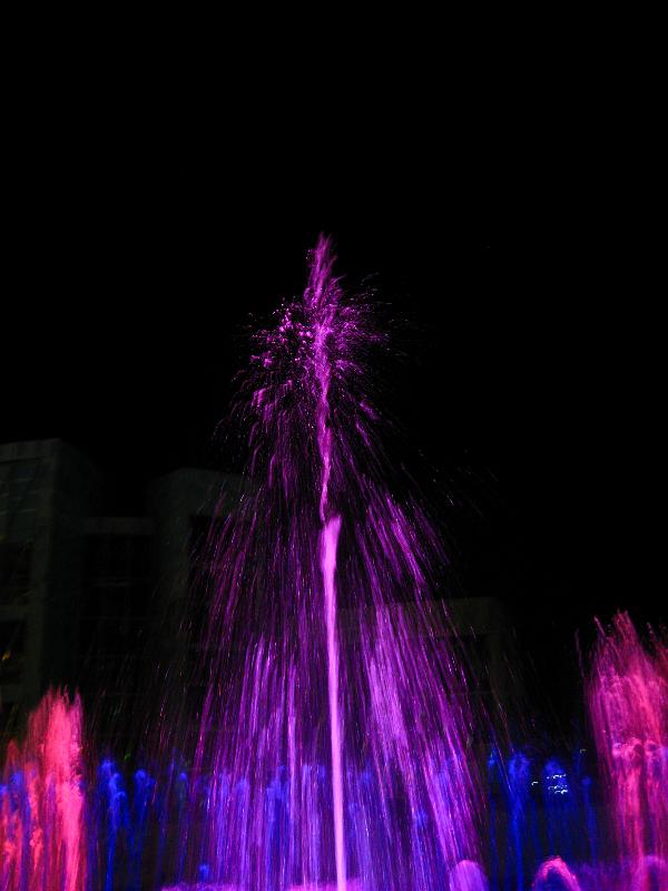 IMG_8740.jpg