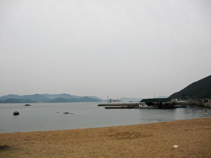 IMG_8805.jpg