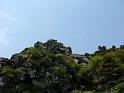 IMG_1557