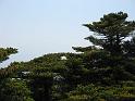 IMG_1565