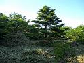 IMG_1726