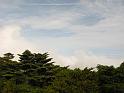IMG_1767