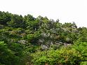 IMG_1772