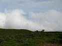 IMG_1781