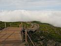 IMG_1836