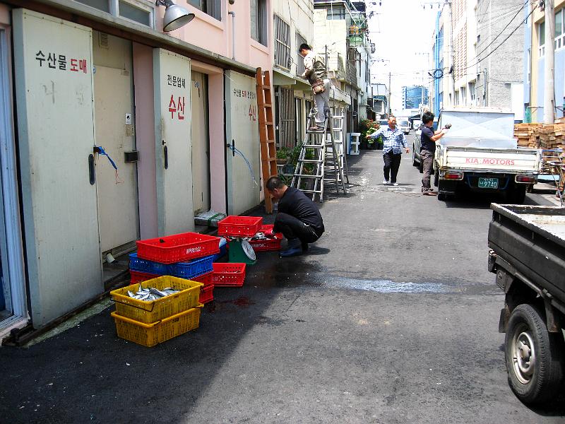 IMG_1649.jpg - JEJU - city