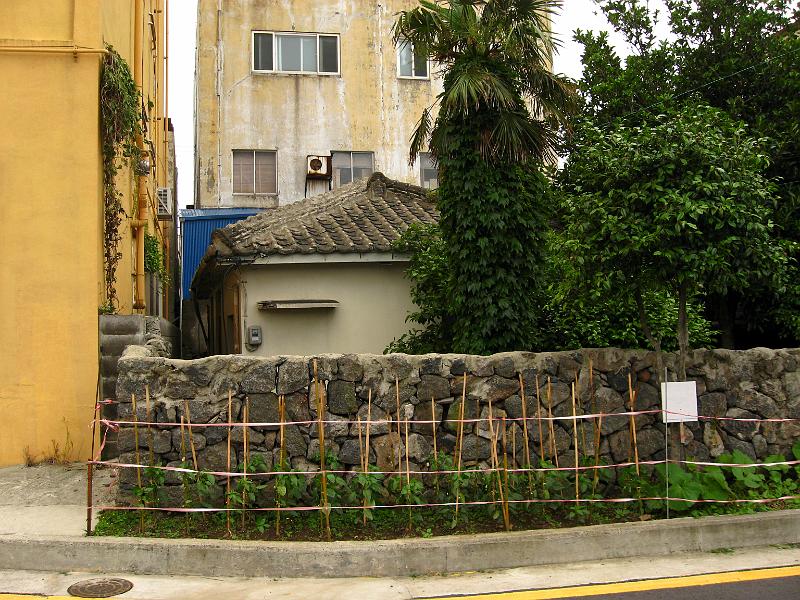 IMG_1684.jpg - JEJU - city