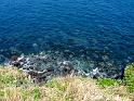 IMG_1386