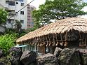 IMG_1595