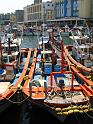 IMG_1641