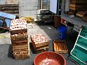 IMG_1648