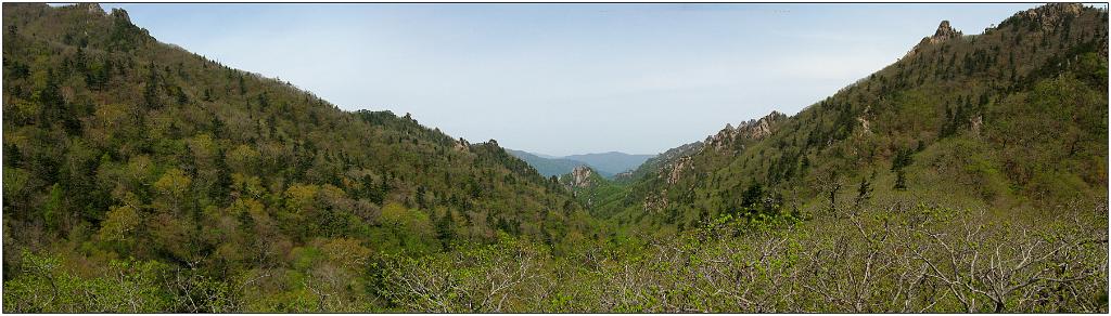 KorPan_11_8.JPG