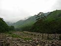 IMG_0595
