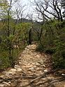 IMG_0699