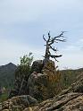 IMG_0705