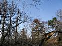 IMG_0888