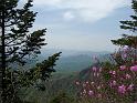 IMG_0899