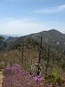 IMG_0917