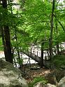 IMG_1027