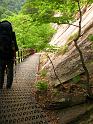 IMG_1145