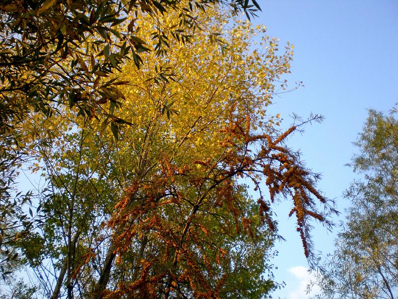 PA100343.JPG - Krajina