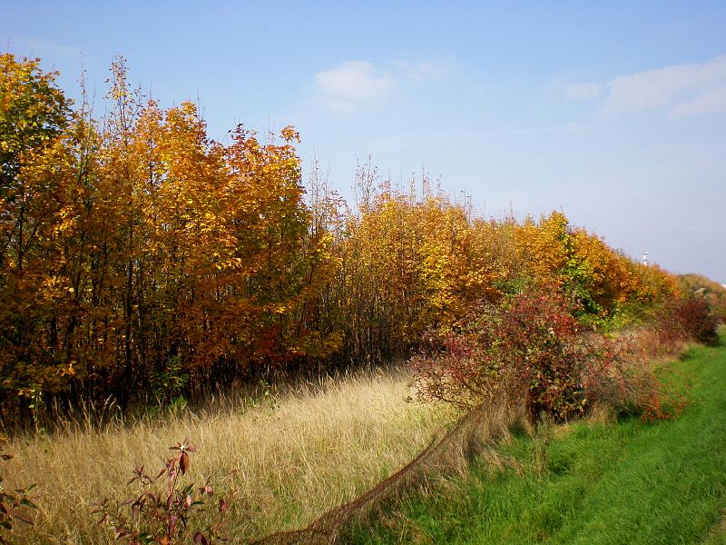 PA110426.JPG - Krajina