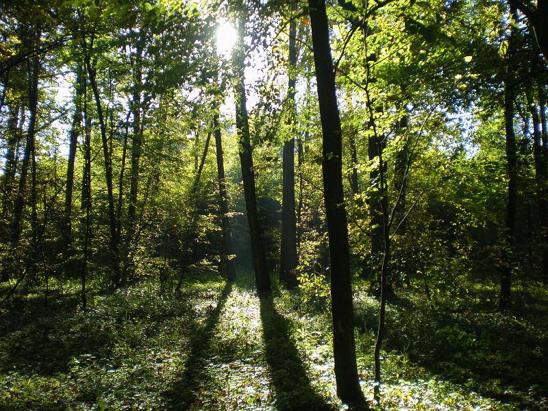 PA140172.JPG - Krajina