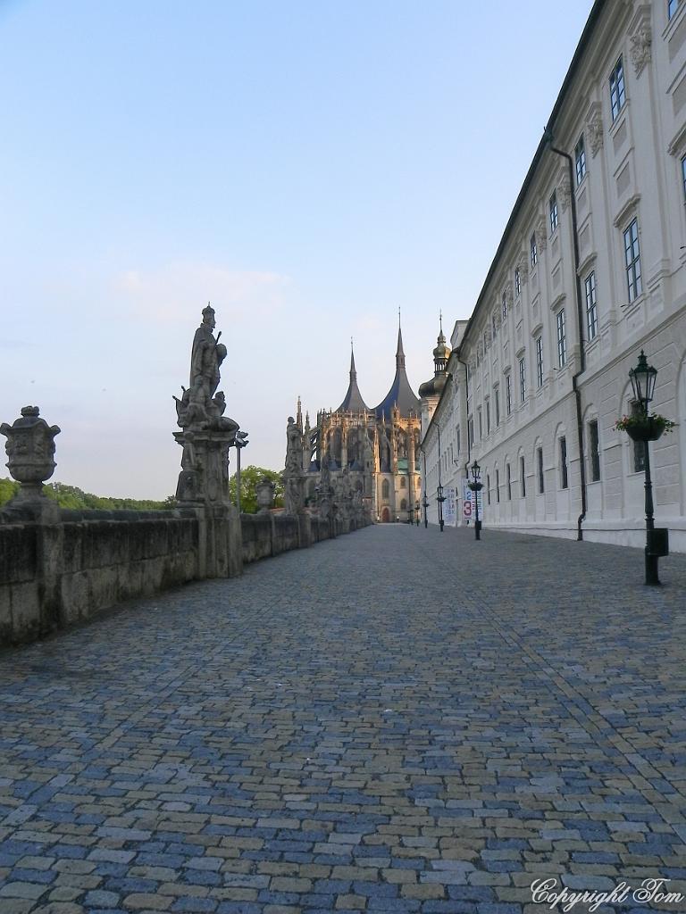 DSCN5973.jpg
